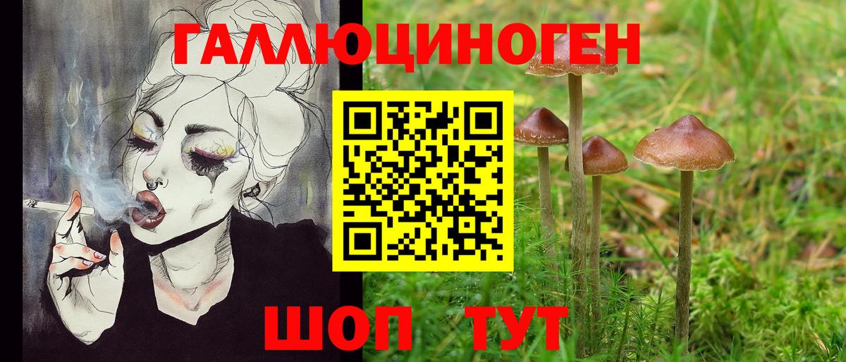 Псилоцибиновые грибы Magic Shrooms  Вход с VPN  Аксай 